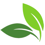 Tratamento Fitossanitário de Madeira